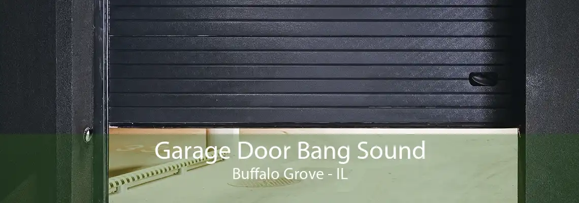 Garage Door Bang Sound Buffalo Grove - IL