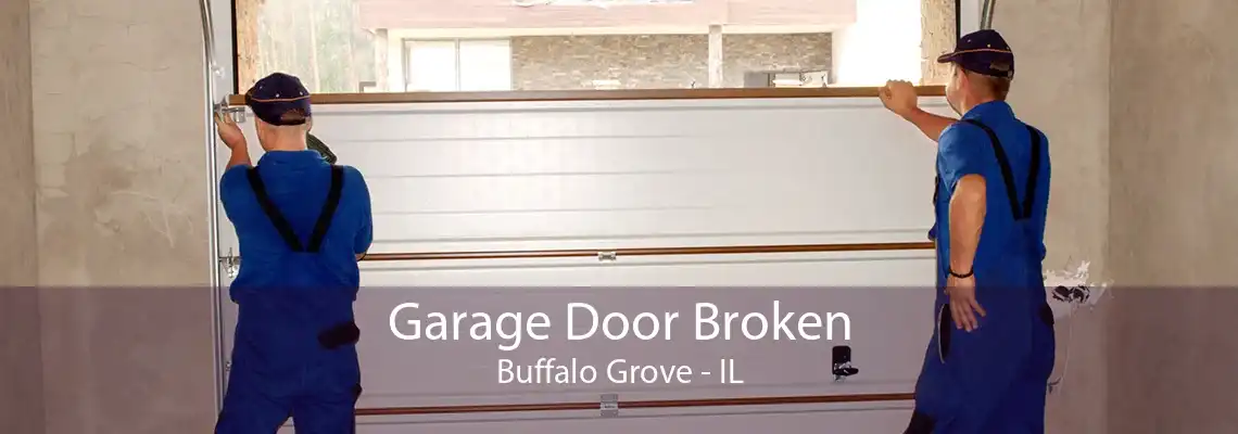 Garage Door Broken Buffalo Grove - IL