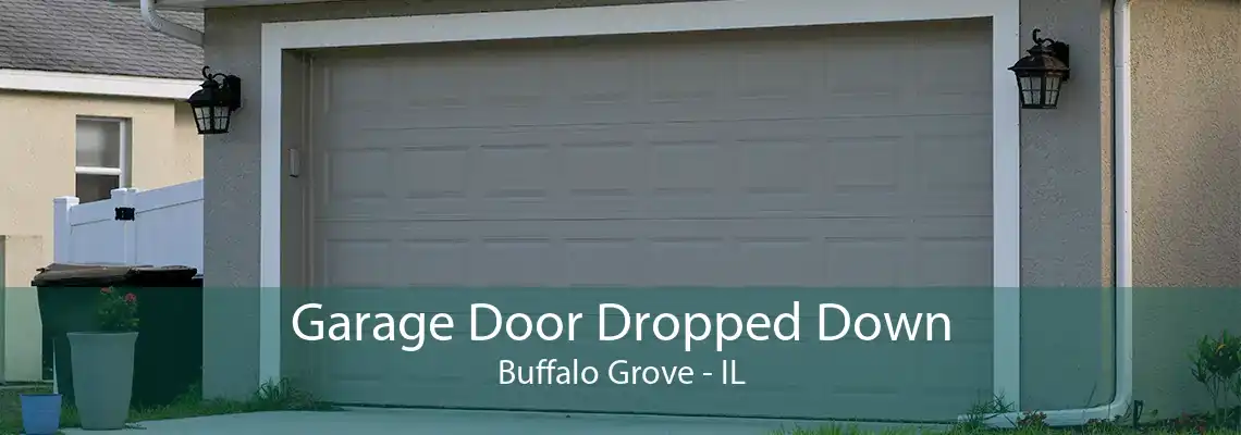 Garage Door Dropped Down Buffalo Grove - IL