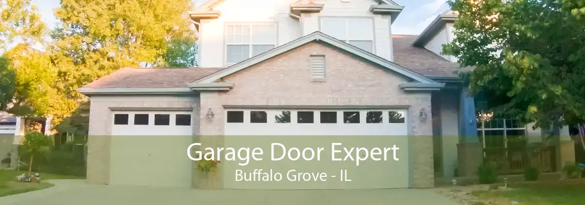 Garage Door Expert Buffalo Grove - IL