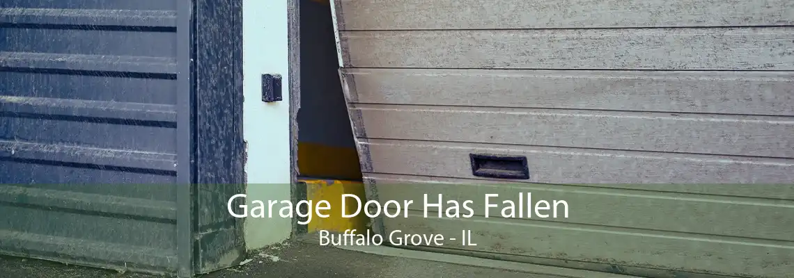 Garage Door Has Fallen Buffalo Grove - IL