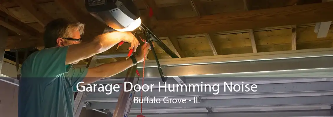 Garage Door Humming Noise Buffalo Grove - IL