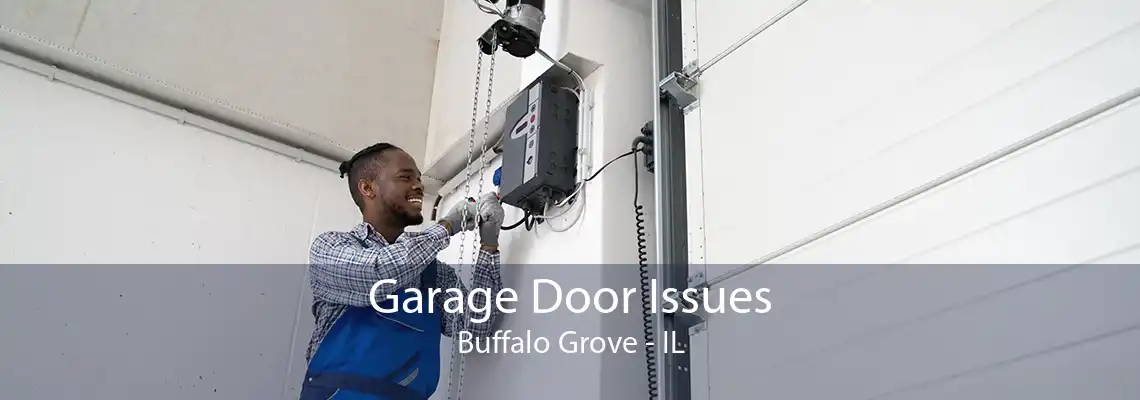 Garage Door Issues Buffalo Grove - IL