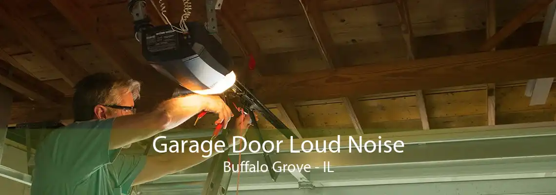 Garage Door Loud Noise Buffalo Grove - IL