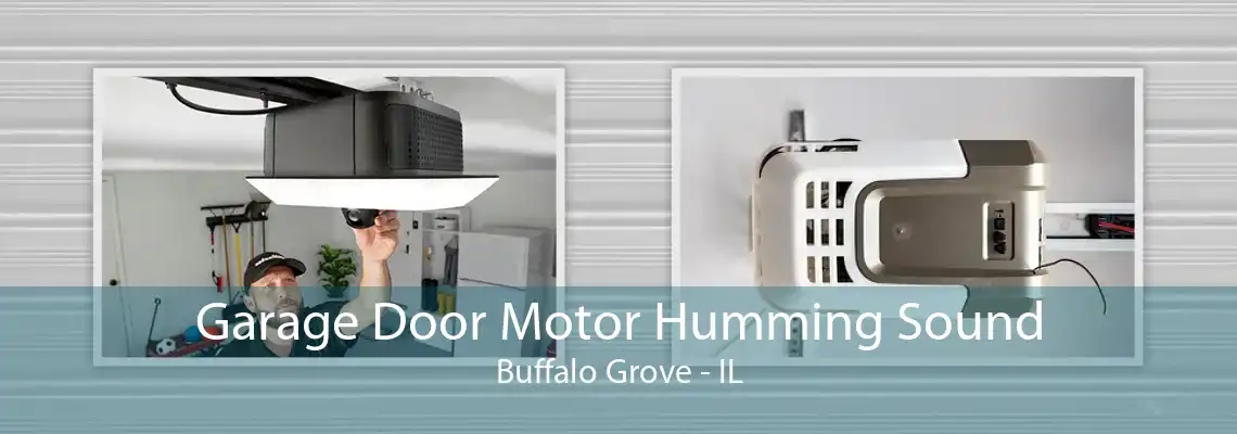 Garage Door Motor Humming Sound Buffalo Grove - IL