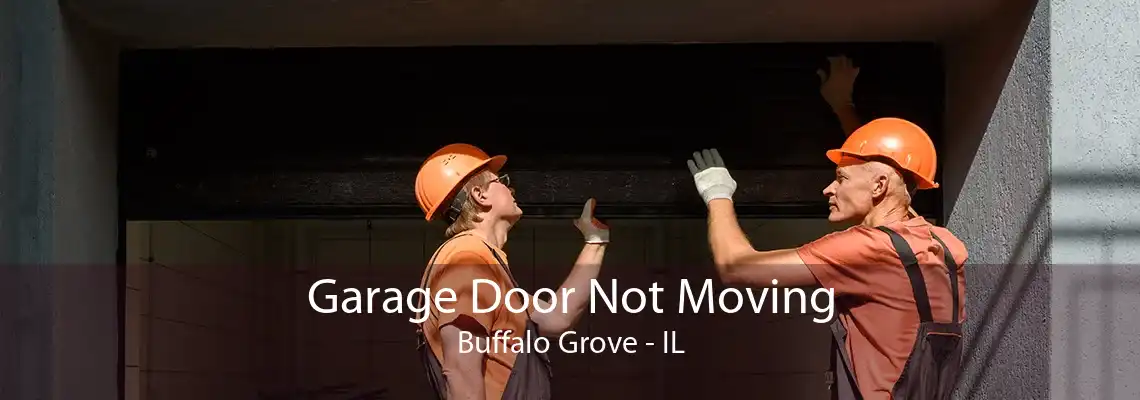 Garage Door Not Moving Buffalo Grove - IL