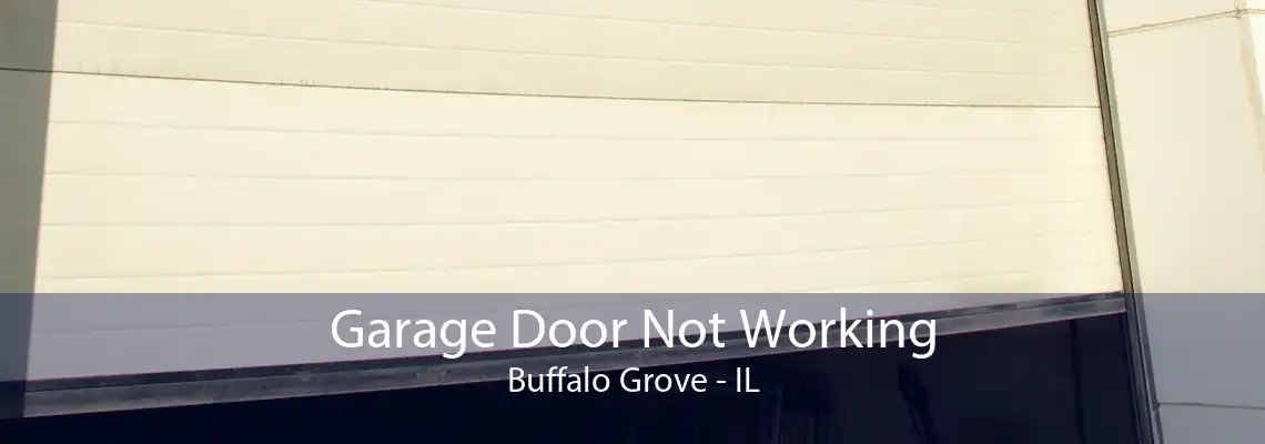 Garage Door Not Working Buffalo Grove - IL