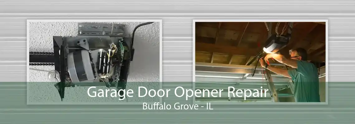 Garage Door Opener Repair Buffalo Grove - IL