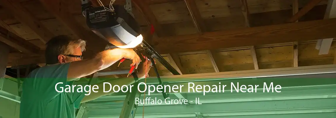 Garage Door Opener Repair Near Me Buffalo Grove - IL