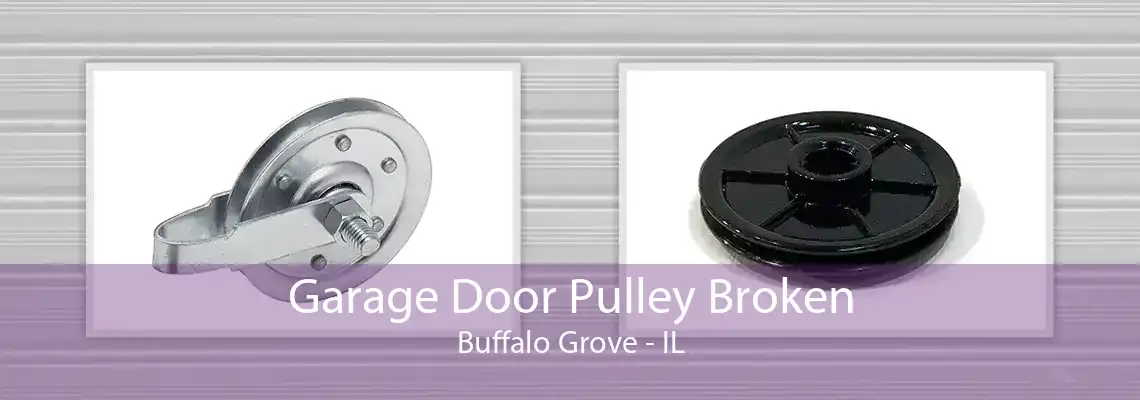 Garage Door Pulley Broken Buffalo Grove - IL