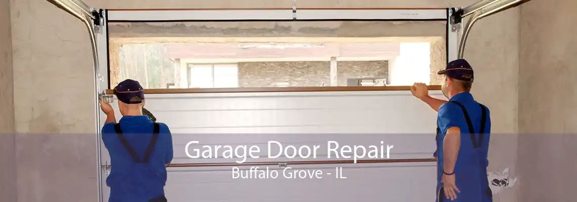 Garage Door Repair Buffalo Grove - IL