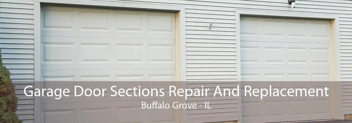 Garage Door Sections Repair And Replacement Buffalo Grove - IL