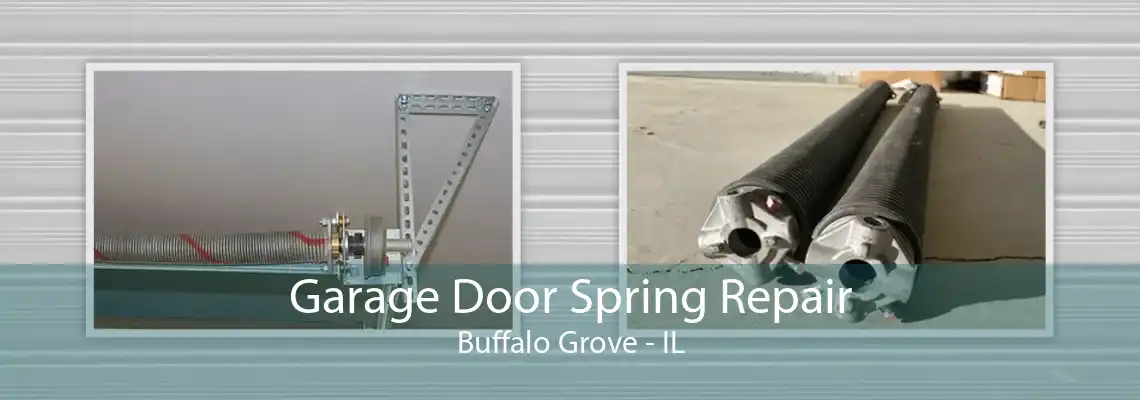 Garage Door Spring Repair Buffalo Grove - IL