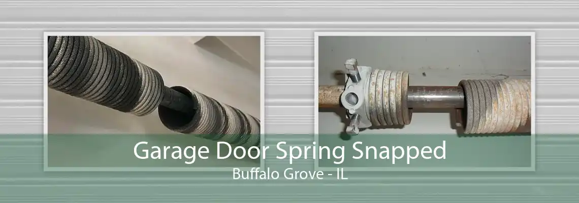 Garage Door Spring Snapped Buffalo Grove - IL