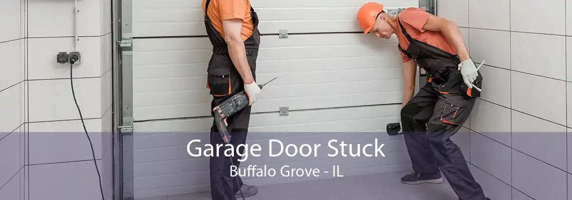 Garage Door Stuck Buffalo Grove - IL