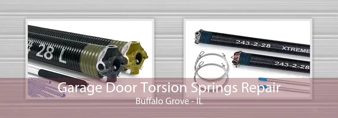 Garage Door Torsion Springs Repair Buffalo Grove - IL