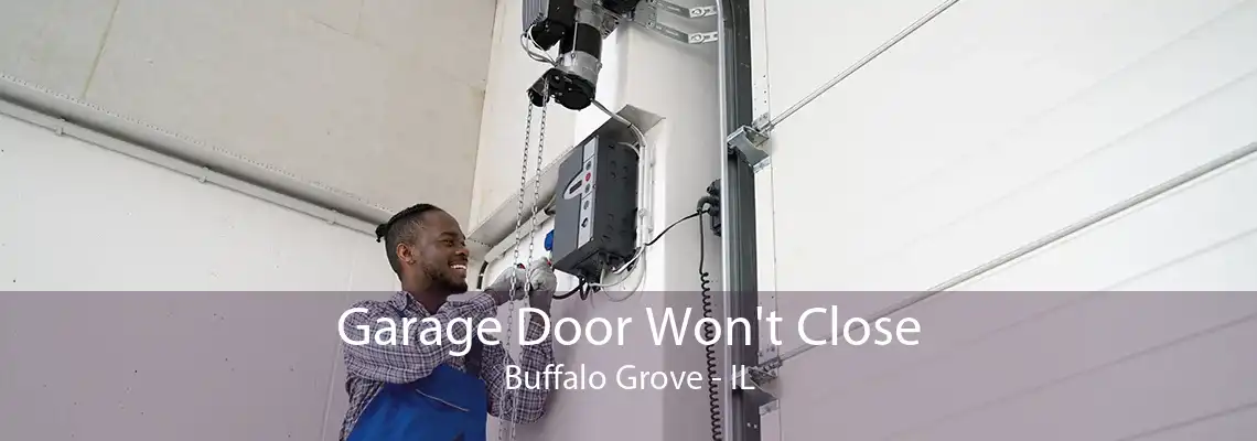 Garage Door Won't Close Buffalo Grove - IL