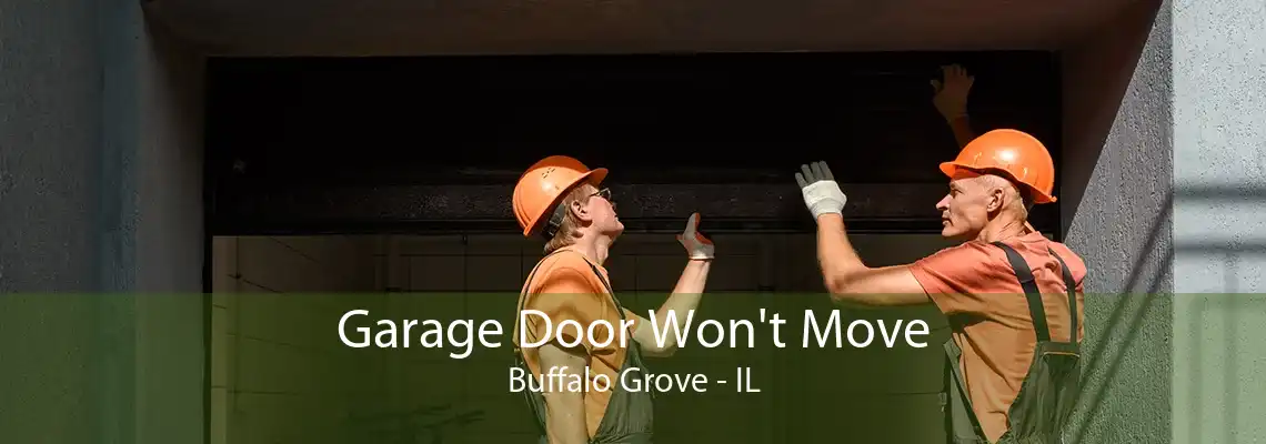 Garage Door Won't Move Buffalo Grove - IL