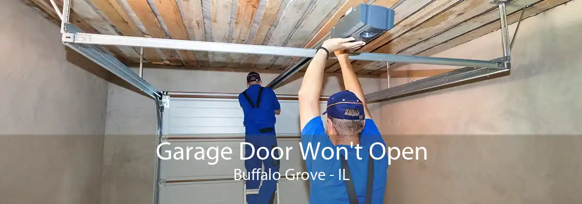 Garage Door Won't Open Buffalo Grove - IL