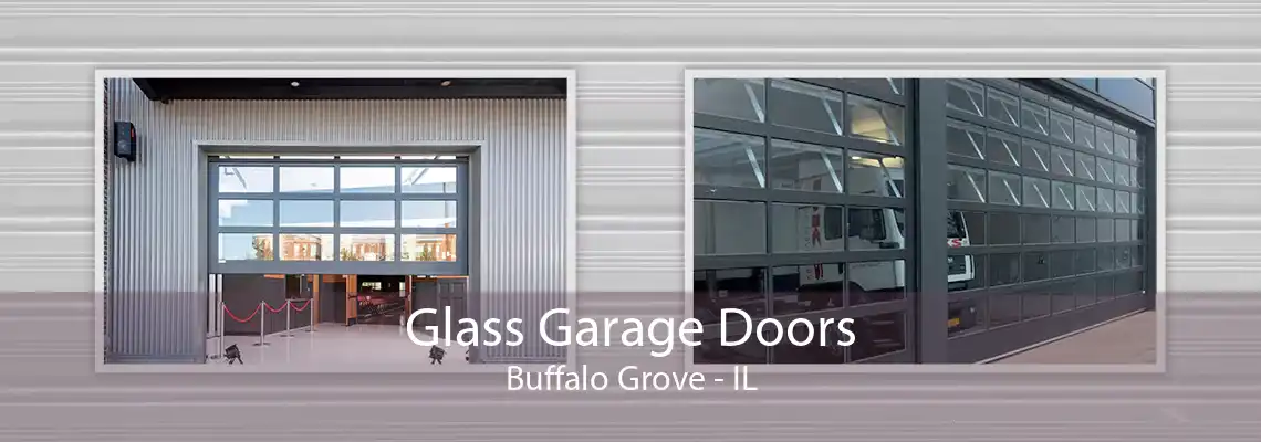 Glass Garage Doors Buffalo Grove - IL