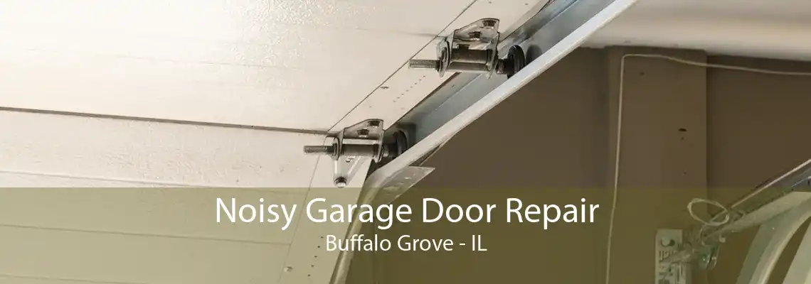 Noisy Garage Door Repair Buffalo Grove - IL