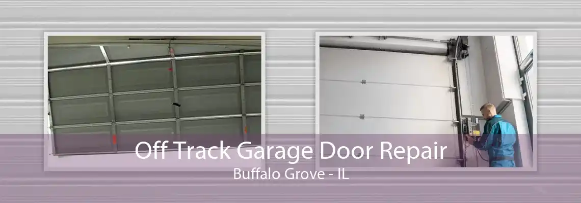 Off Track Garage Door Repair Buffalo Grove - IL