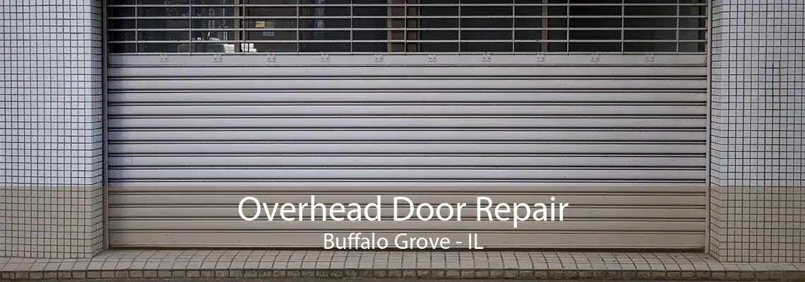 Overhead Door Repair Buffalo Grove - IL