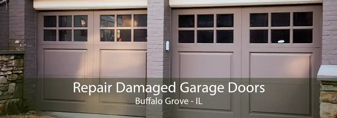 Repair Damaged Garage Doors Buffalo Grove - IL