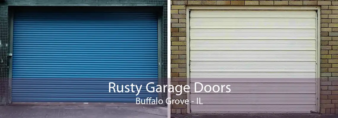 Rusty Garage Doors Buffalo Grove - IL