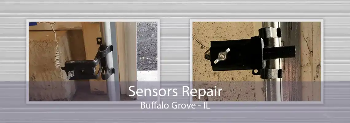 Sensors Repair Buffalo Grove - IL