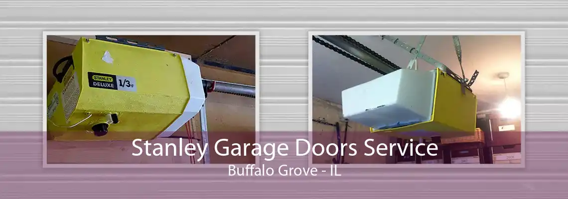 Stanley Garage Doors Service Buffalo Grove - IL